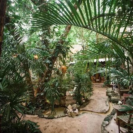 Hotel La Semilla
