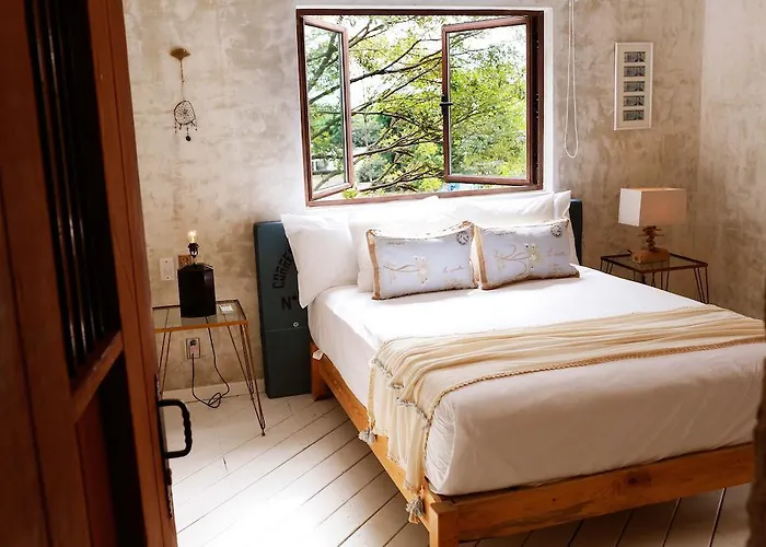La Semilla A Member Of Design (adults Only) Hotel 4*