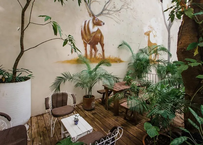La Semilla A Member Of Design (adults Only) Hotel 4*