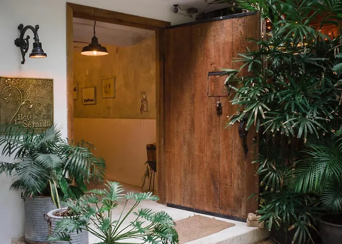 La Semilla A Member Of Design (adults Only) Hotel Playa del Carmen