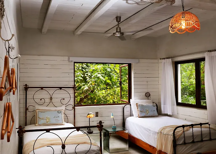 La Semilla A Member Of Design (adults Only) Playa del Carmen