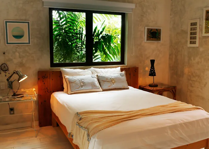 La Semilla A Member Of Design (adults Only) Playa del Carmen