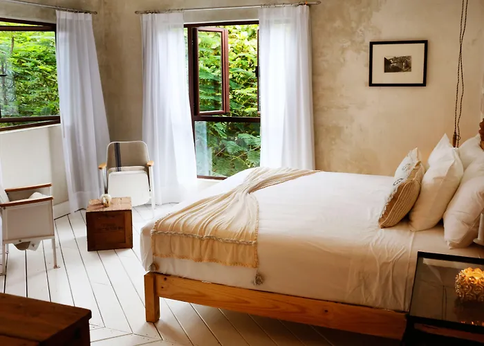 La Semilla A Member Of Design (adults Only) 4* Playa del Carmen