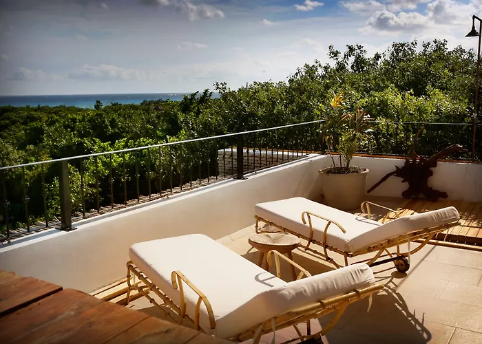 Hotel La Semilla A Member Of Design (adults Only) Playa del Carmen