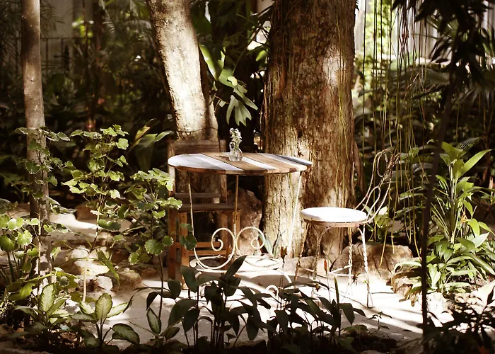 La Semilla A Member Of Design (adults Only) 4*