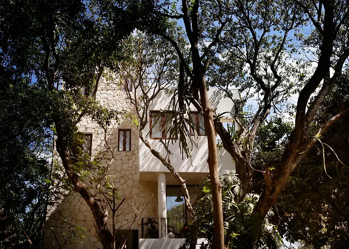 Hotel La Semilla A Member Of Design (adults Only) 4*