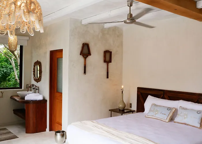 La Semilla A Member Of Design (adults Only) Playa del Carmen