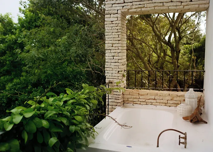 La Semilla A Member Of Design (adults Only) 4*