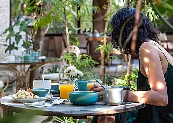 La Semilla A Member Of Design (adults Only) Hotel Playa del Carmen